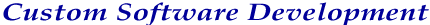 Custom Software Development